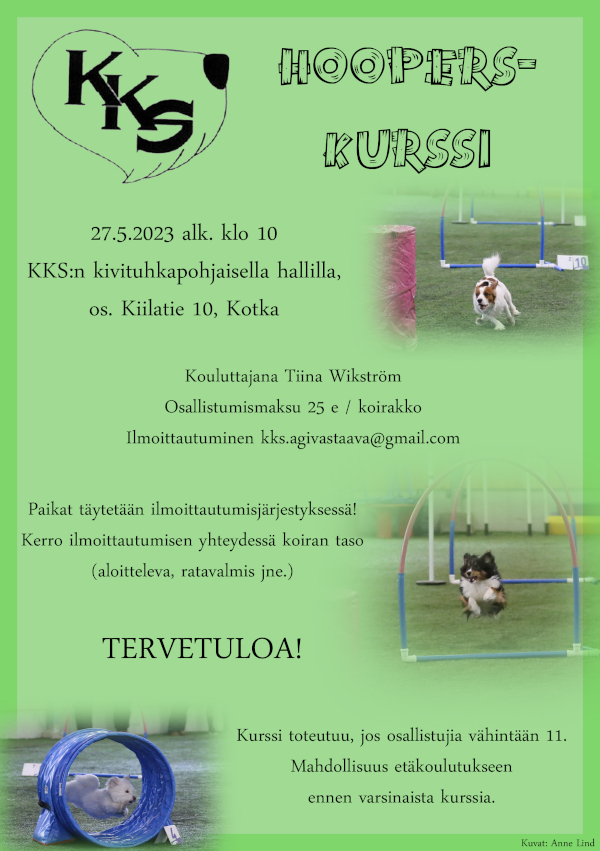 Hooperskurssi